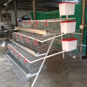 120 Layer Cage
